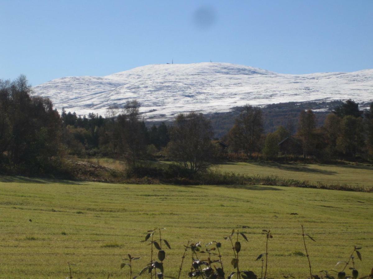 Roste Hyttetun Og Camping Os (Hedmark) Exterior foto