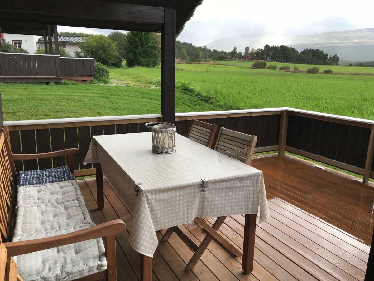 Roste Hyttetun Og Camping Os (Hedmark) Exterior foto